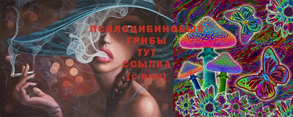 МДПВ Волоколамск