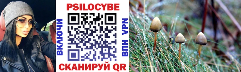 Галлюциногенные грибы мухоморы  купить наркоту  МЕГА ссылки  Отрадное 